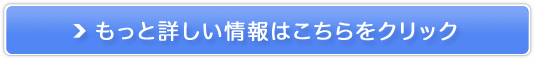 fBAIoITCgy|CgCJz̔TCg